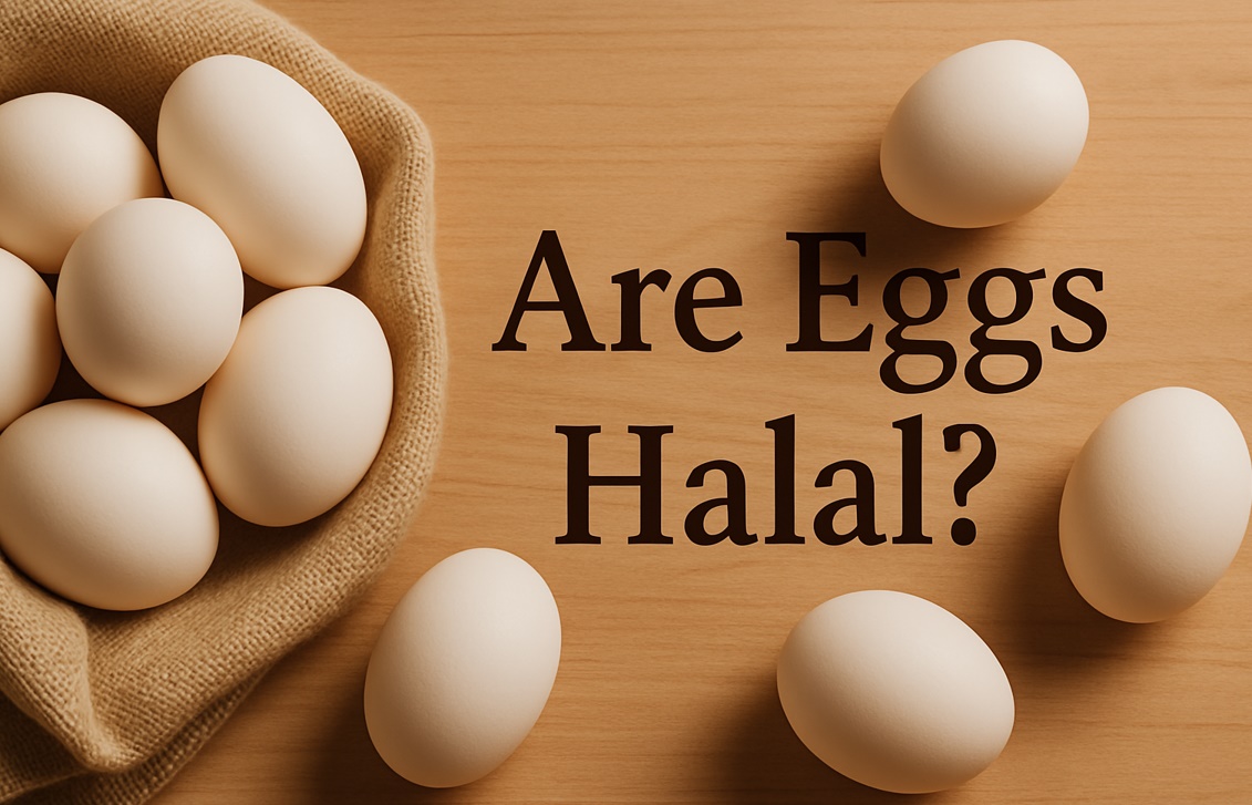 Are Eggs Halal? Best Information what you Need to Know!