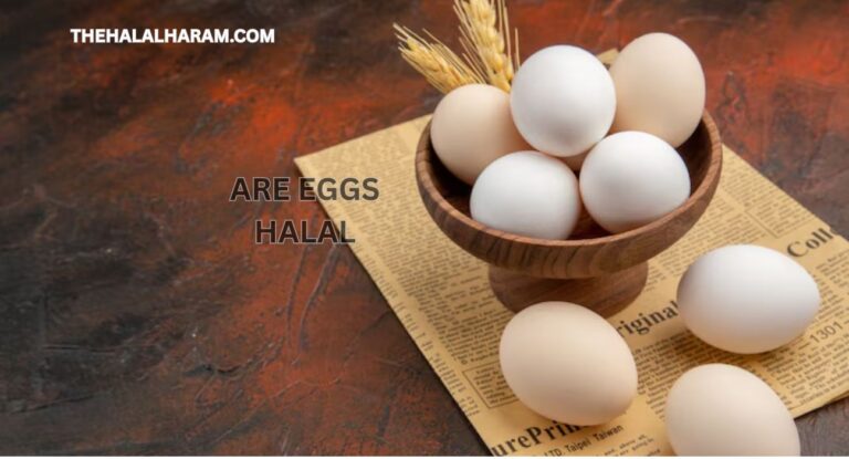 are eggs halal