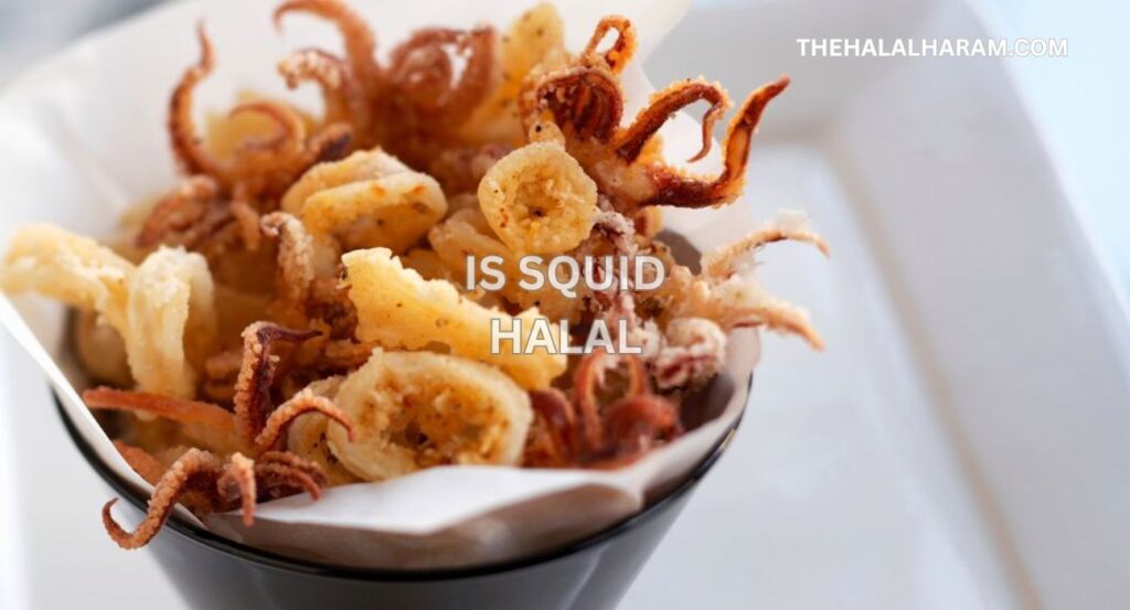 is squid halal