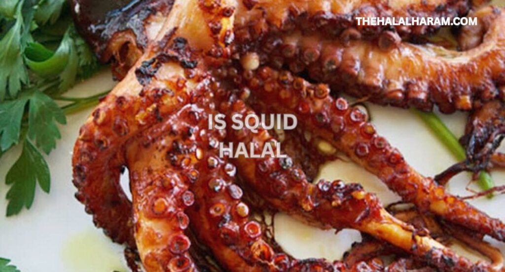 is squid halal